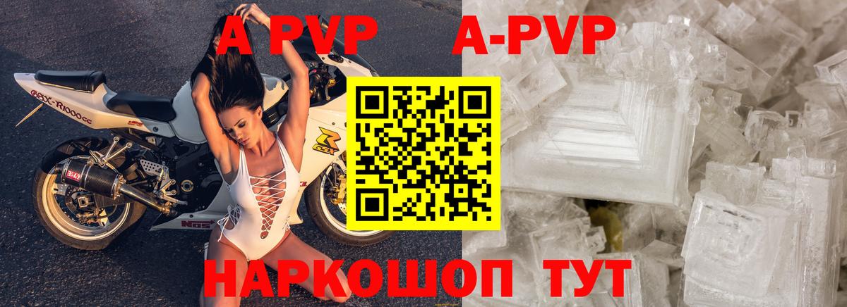 Alfa_PVP СК КРИС Грозный
